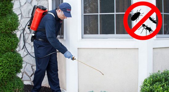 Çeşme Karınca İlaçlama böcek ilaçlama ve haşere kontrolü — ilaclama-tr.com